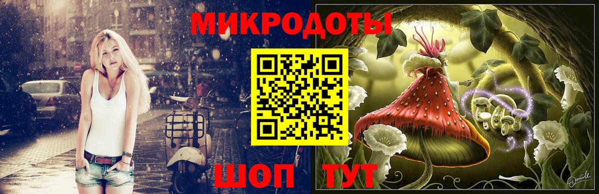 Галлюциногенные грибы Cubensis Владикавказ