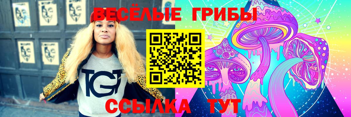 Владикавказ  Галлюциногенные грибы ЛСД  Вход с VPN 